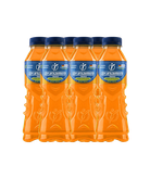 نوشیدنی ورزشی داینامین باکس ۶ عددی مخلوط0